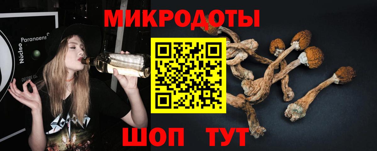 Галлюциногенные грибы MAGIC MUSHROOMS Рыбинск